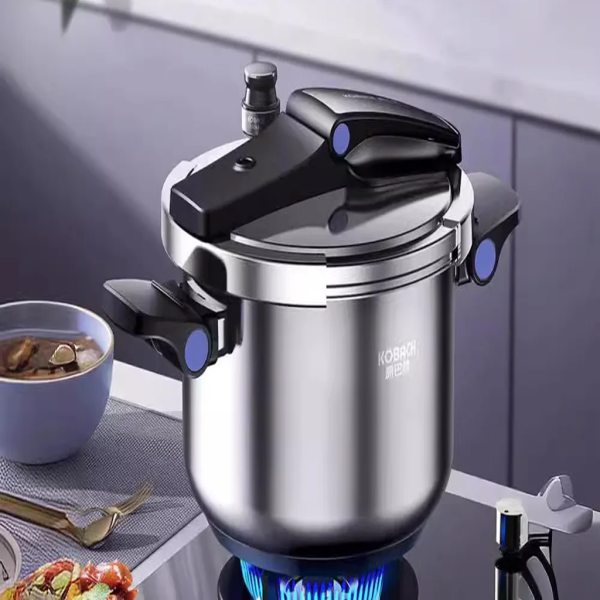 Advanced Pressure Cooker: German, Folding, Upright Lid. - Image 3